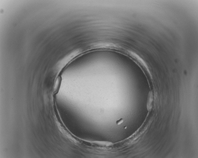 X0000080681330200612301415