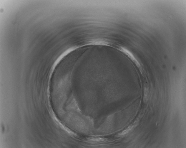 X0000080681331200612301415