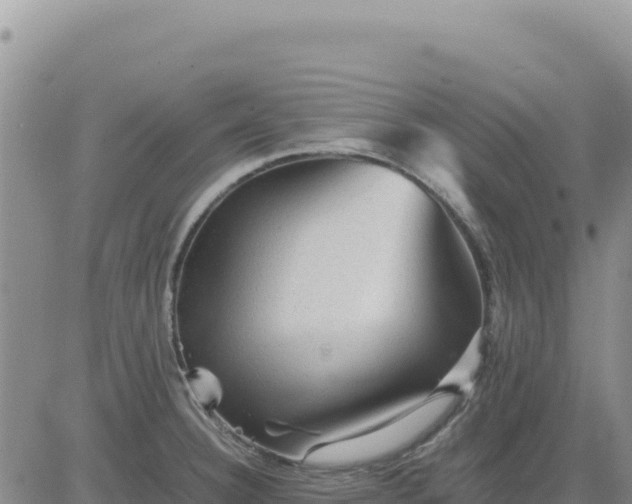 X0000080681332200612301415