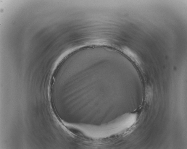 X0000080681334200612301415