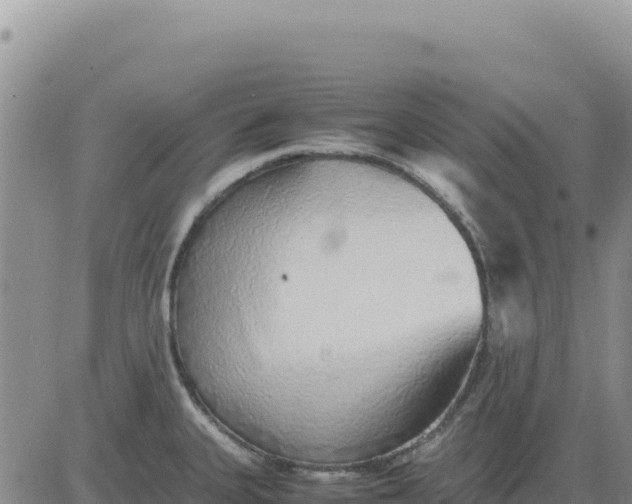 X0000080681335200612301415