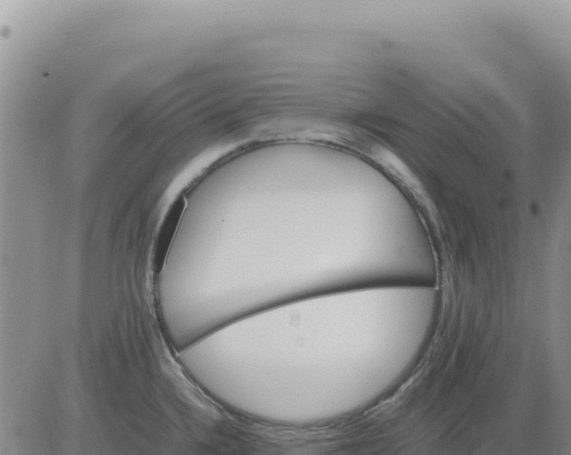 X0000080681336200612301415