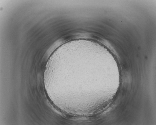 X0000080681337200612301415