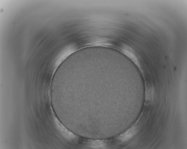 X0000080681338200612301415