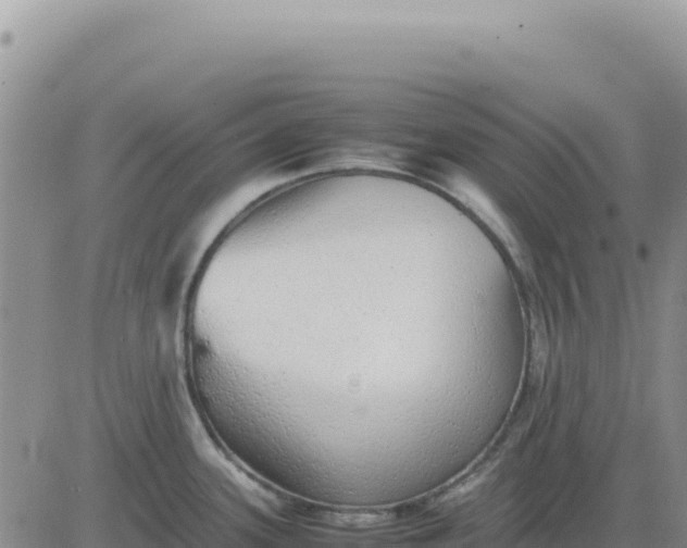 X0000080681339200612301415