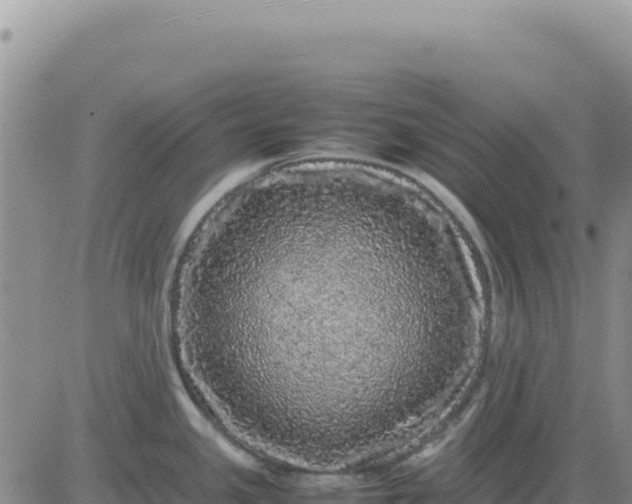 X0000080681341200612301415