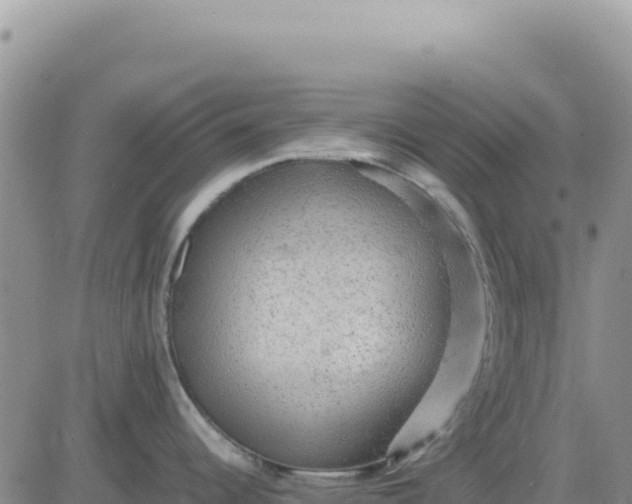 X0000080681344200612301415