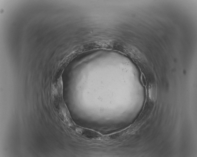 X0000080681347200612301414