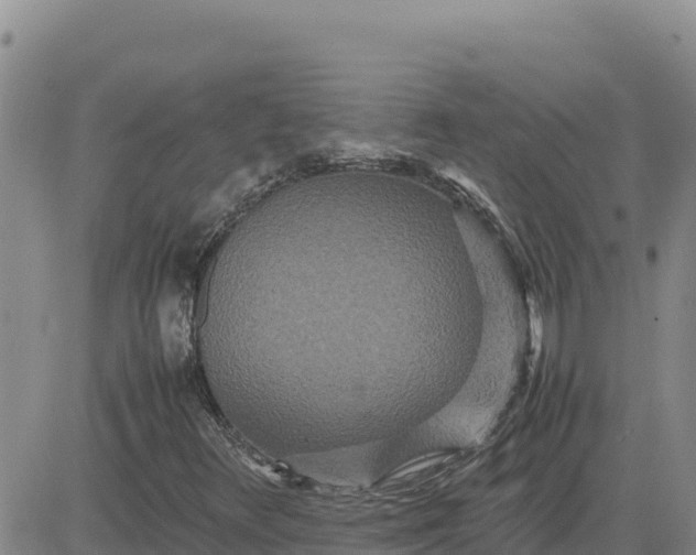 X0000080681348200612301414