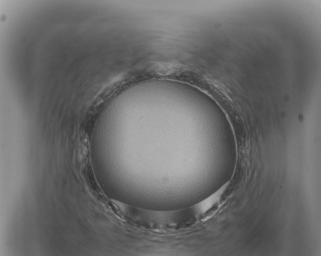 X0000080681349200612301414