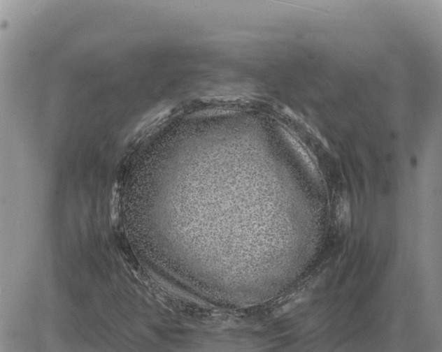 X0000080681350200612301414