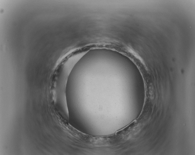 X0000080681352200612301414