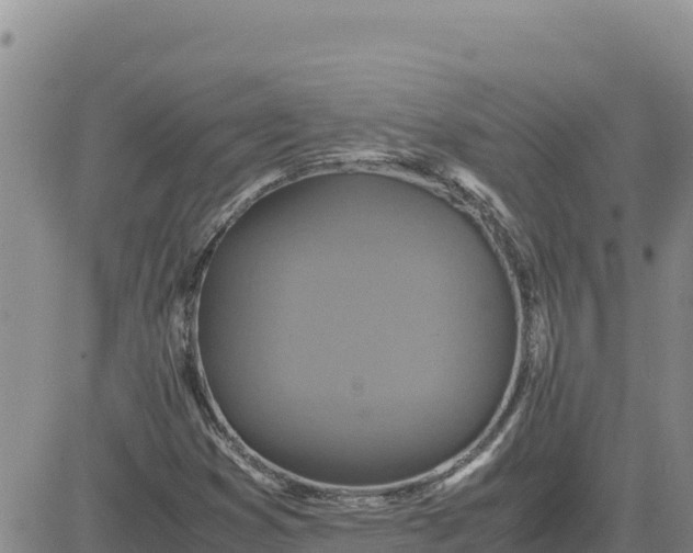 X0000080681353200612301414