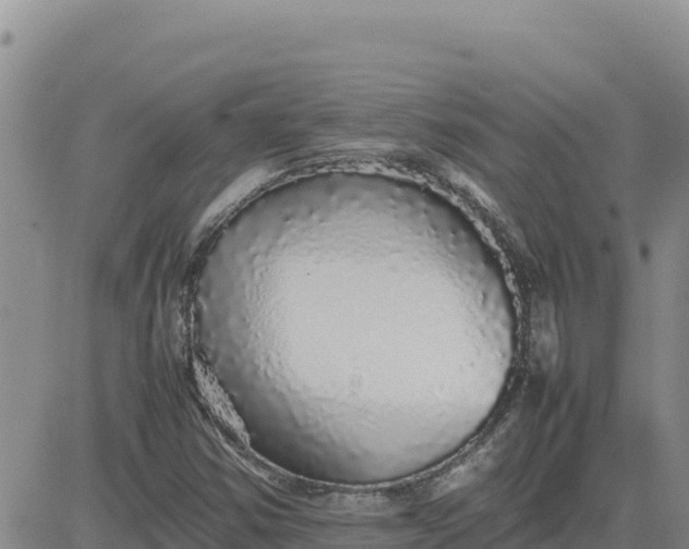 X0000080681354200612301414