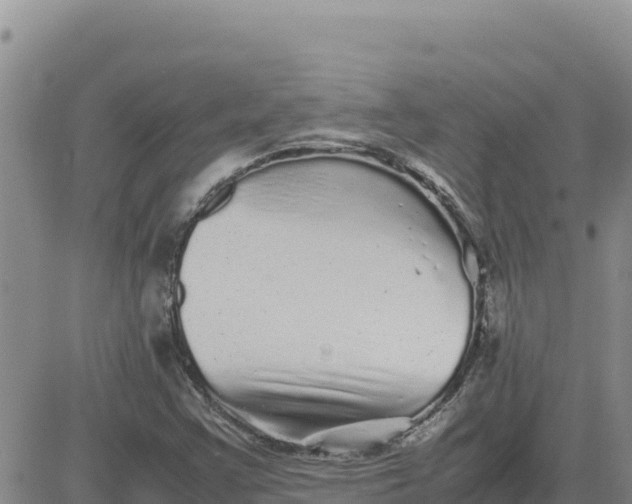 X0000080681355200612301414