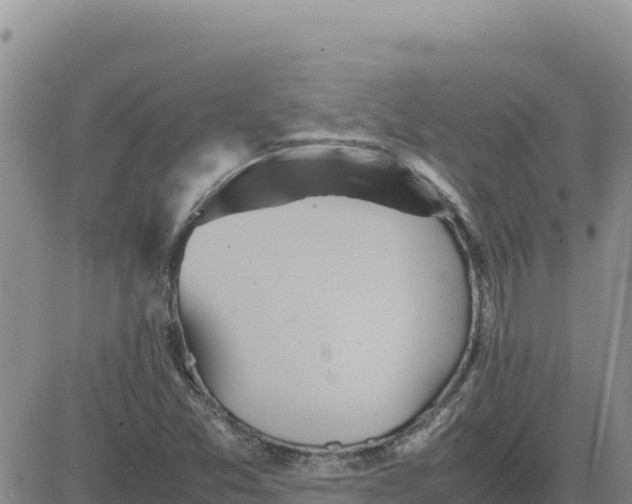 X0000080681357200612301414