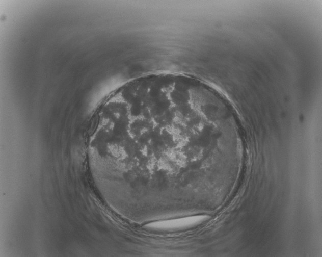 X0000080681359200612301414