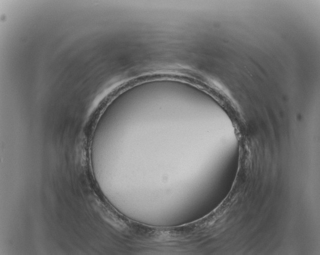 X0000080681360200612301414