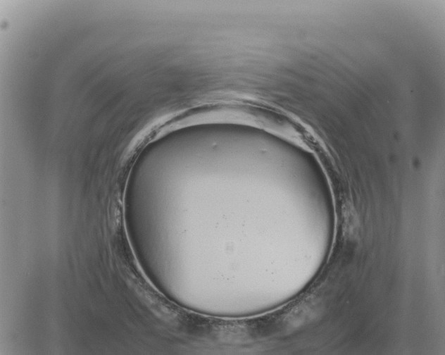 X0000080681363200612301414