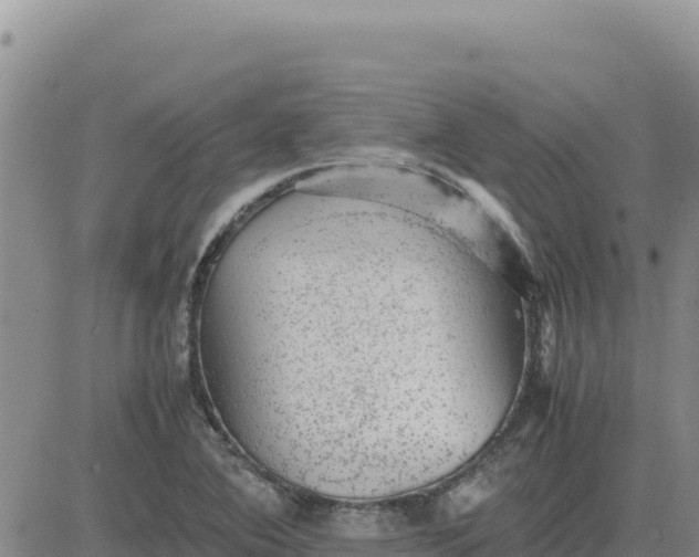 X0000080681364200612301414