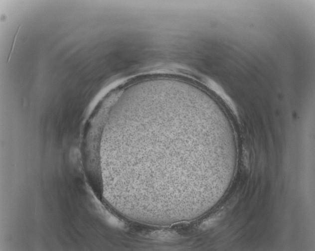 X0000080681368200612301414