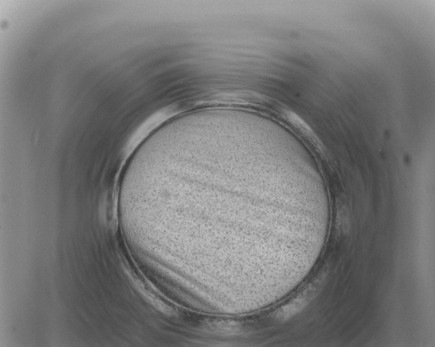 X0000080681370200612301414