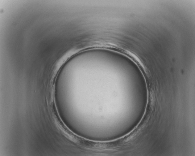 X0000080681371200612301414