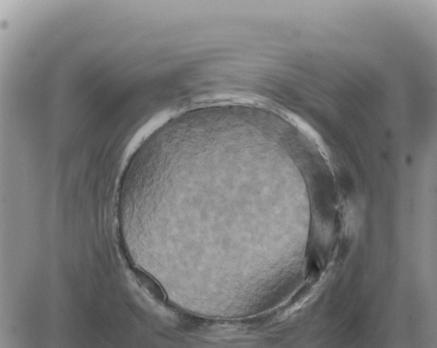 X0000080681373200612301414