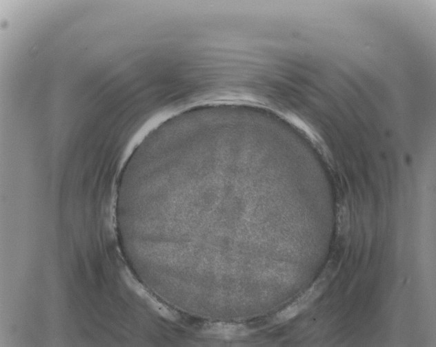 X0000080681374200612301414