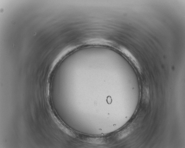 X0000080681376200612301414