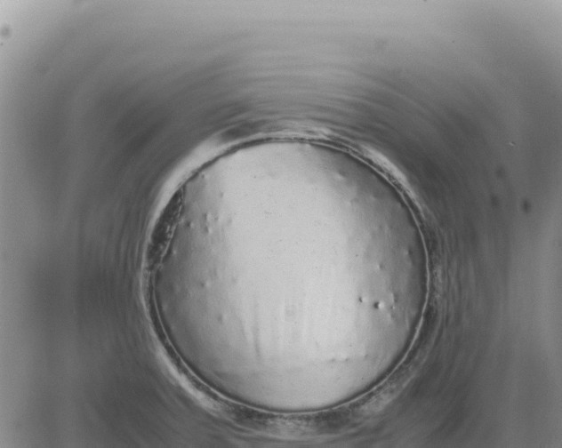 X0000080681379200612301414