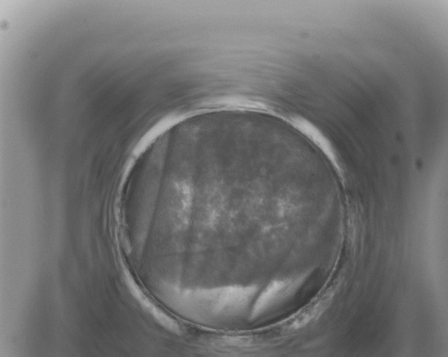 X0000080681381200612301414