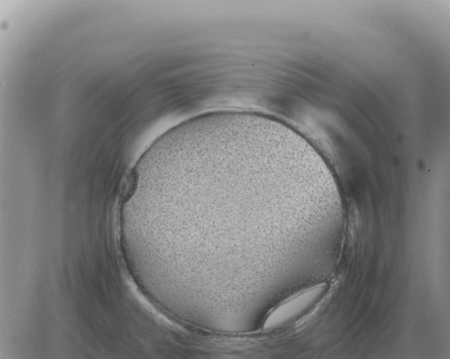 X0000080681382200612301414