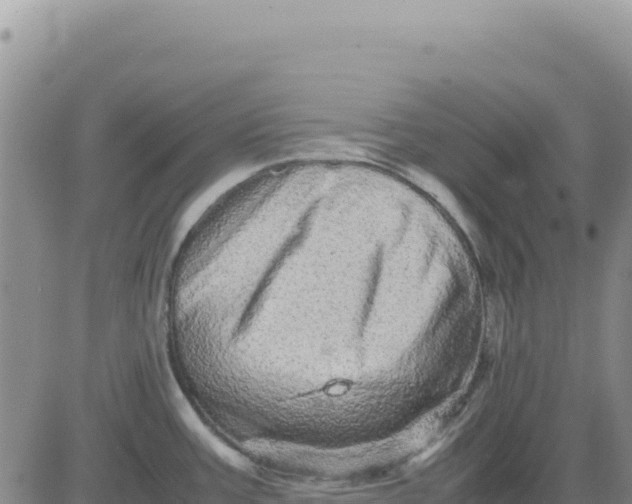 X0000080681387200612301414