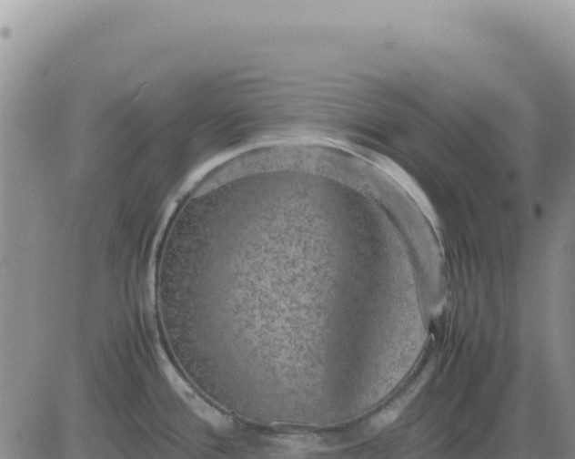 X0000080681388200612301414