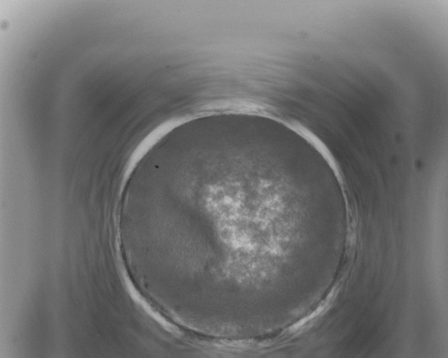 X0000080681389200612301414