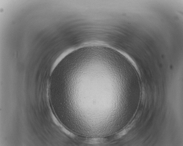 X0000080681390200612301414