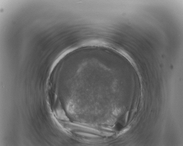 X0000080681392200612301414