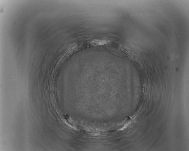 X0000080681393200612301413