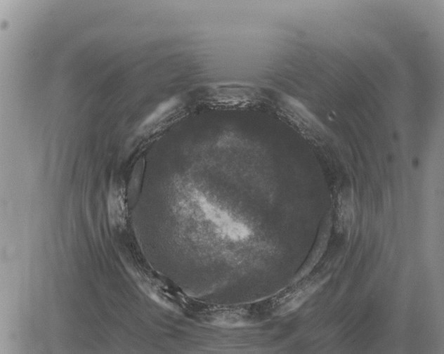 X0000080681394200612301413