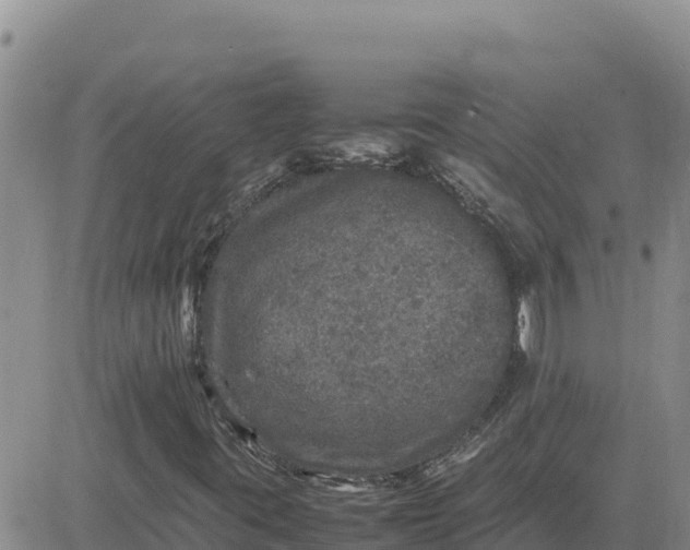 X0000080681395200612301413