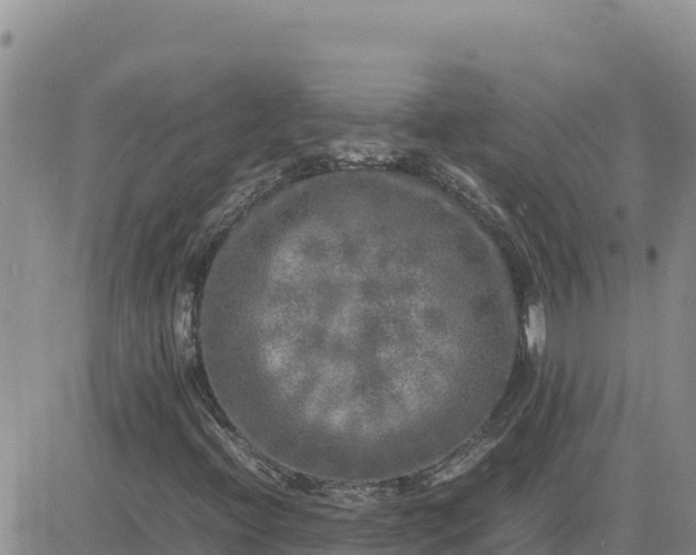 X0000080681396200612301413