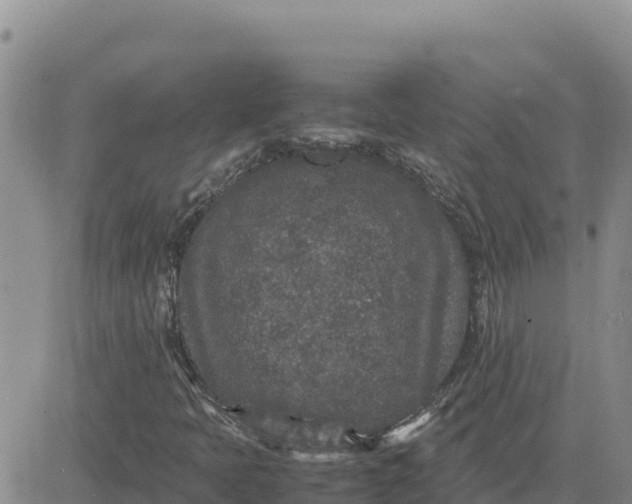 X0000080681397200612301413