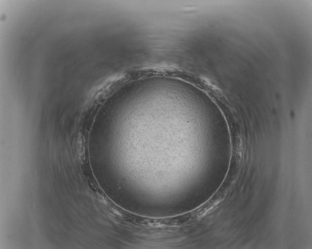 X0000080681398200612301413