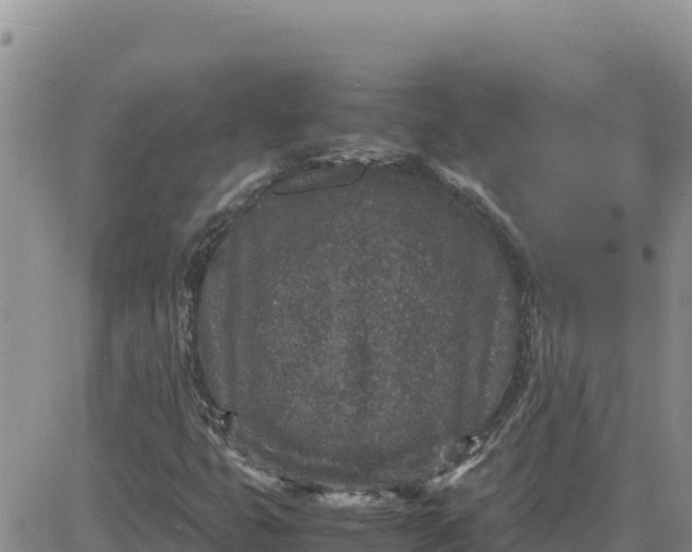 X0000080681399200612301413