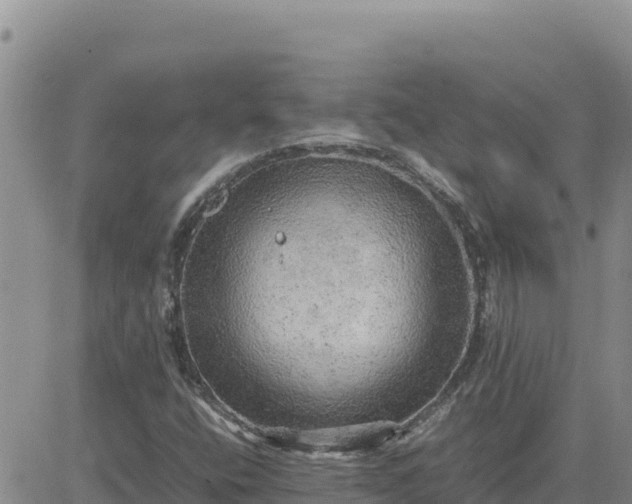 X0000080681400200612301413