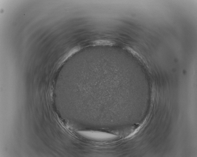 X0000080681401200612301413