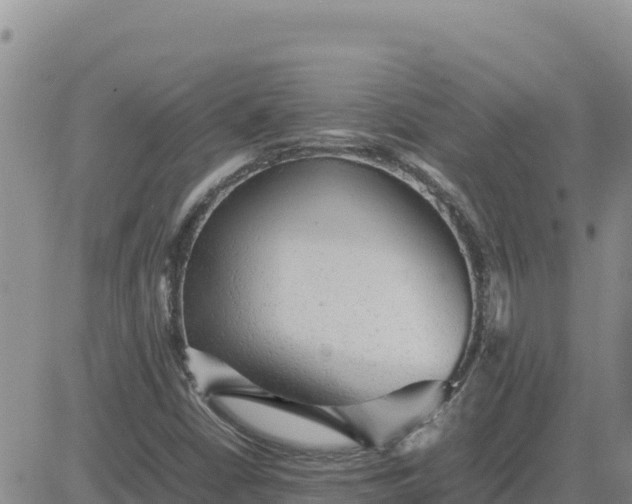 X0000080681402200612301413