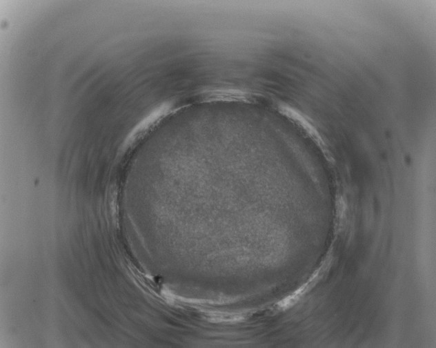 X0000080681403200612301413