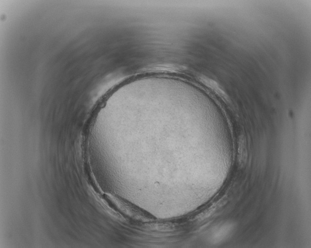 X0000080681404200612301413